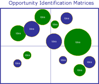 opportunity identification matrices